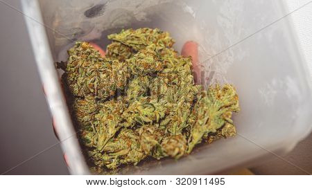 Modern Ways Of Smoking Marijuana In The World. Recreational Cannabis Smoking Culture
