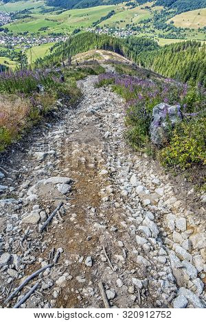 Tourist Path, Calamity Forest And Liptovska Luzna Village, Low Tatras, Slovak Republic. Travel Desti