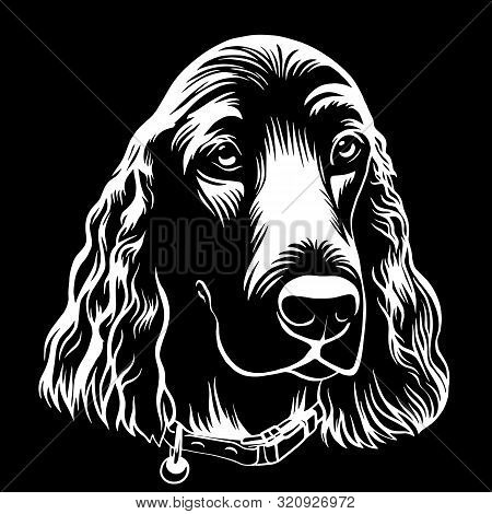 Spaniel Dog Hand Drawn Outline Stock Vector Illustration Coloring Book Page On White Background