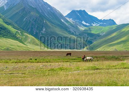 Horses And Truso Valley And Gorge  Landscape Trekking / Hiking Route, In Kazbegi, Georgia. Truso Val