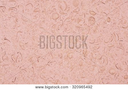 Organic Texture Of Natural Stone Pastel Coralline Color Tone With Traces Of Shells. Natural Backgrou
