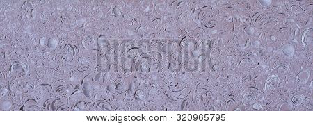 Organic Texture Of Natural Stone With Prints Of Sea Shells Of Muted Pinkish Gray Pastel Tone. Backgr