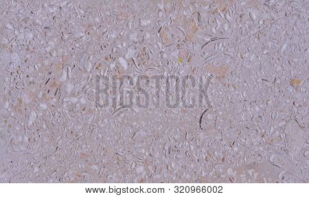 Organic Texture Of Natural Stone Muted Pastel Gray With A Pinkish Tinge. Background