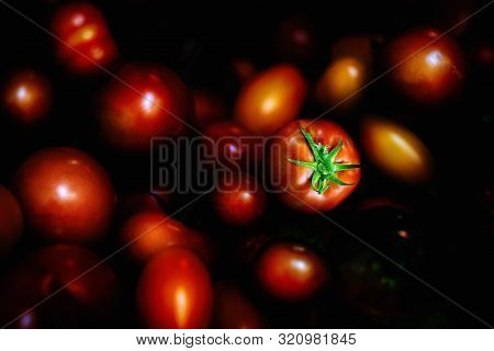 Various Shiny  Tomatoes On A Dark Background. Close Up.