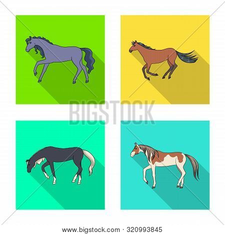 Vector Illustration Of Breed And Equestrian Symbol. Set Of Breed And Mare Stock Vector Illustration.