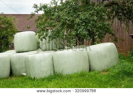 Silage Bales Stored In Meadow On A Farmyard, Hay Conservation And Fermentation