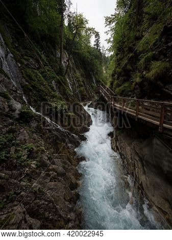 Nature Landscape Panorama Of Wooden Boardwalk Path In Raw Wild Mountain Stream River Gorge Ravine Wi