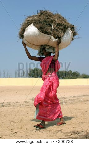 Hårt arbete av Indien kvinnor