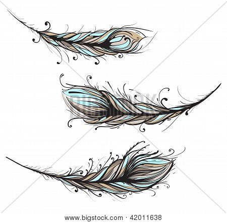 Komplizierte Zierfedern Illustration