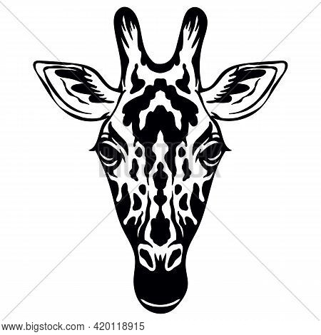 Mascot. Head Of Giraffe. Vector Illustration Black Color Front View Of Wild Animal Isolated On White