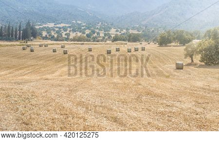 Cyprus Summer Landscape With Hay Stacks In A Field With Mountains Background