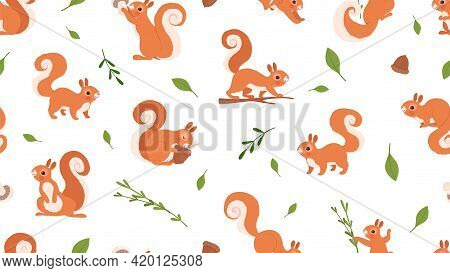 Cute Squirrel Pattern. Forest Wildlife, Cartoon Red Squirrels Vector Seamless Texture