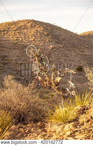 The Bicycle Tree On Hancock Hill In Alpine, Texas