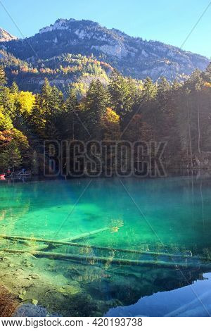Blausee Blue Lake Landscape In Switzerland In Autumn