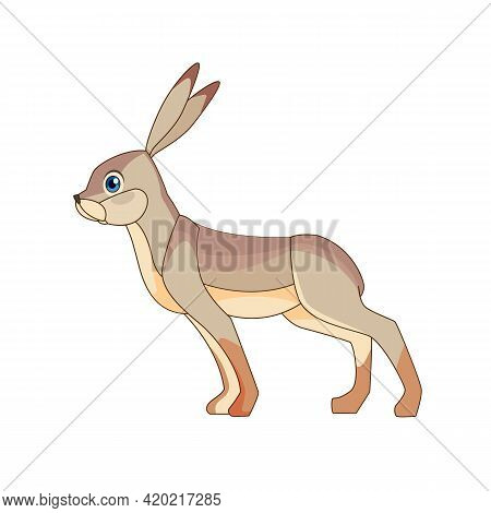 The European Hare, Also Known As The Brown Hare, Standing. Gray Fluffy Fur, Long Ears, Big Blue Eyes