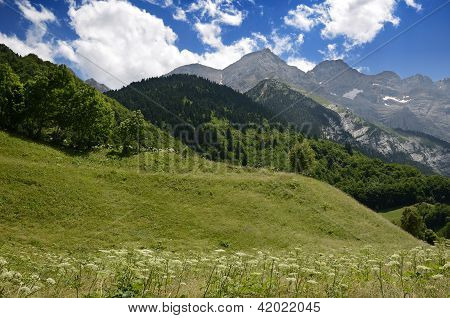 Pirineos en verano