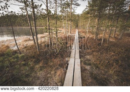 Wooden Path Between The Lakes Of Two Sisters In The National Park Of The Lammin Suo Swamp In The Len