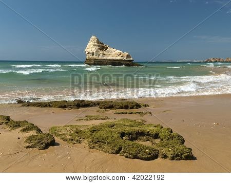 Algarve bölgesi pastoral Praia de Rocha sahilde bölümü.