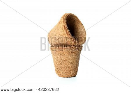 Сoconut Plant Pots Isolated On White Background