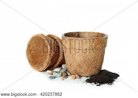 Сoconut Plant Pots Isolated On White Background