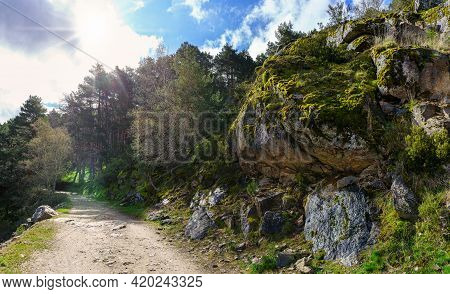 Path In The Forest Between Pine Trees And Large Rocks With Sun Rays In The Sky. Guadarrama Madrid. S