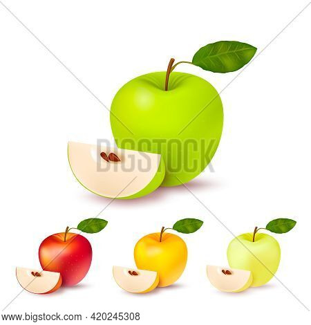 Set Of Four Isolated Realistic Apples Of Different Colour Pearmain Each With Green Leaf And Segment 