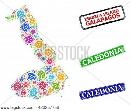 Vector Bacterium Collage Isabela Island Of Galapagos Map, And Grunge Caledonia Seal Stamps. Vector C
