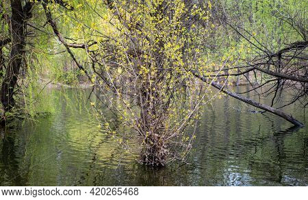 Bor Lake Artificial Lake In Eastern Serbia Near The City Of Bor