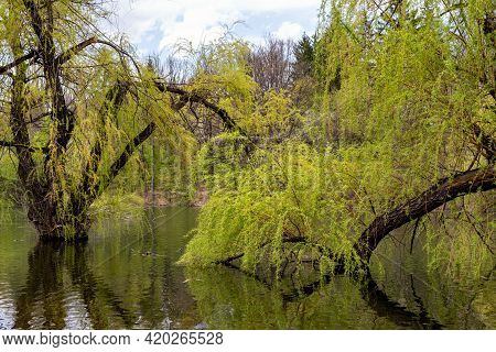 Bor Lake Artificial Lake In Eastern Serbia Near The City Of Bor