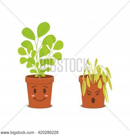 Cute Plants In Pots Characters. Happy Blossom Vs Sad Wilted Flowers Isolated On White Background. Ve
