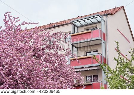 Cherry Blossoms In Front Of Modern House With Balconies, Euronean Appartment Block Of Flats In Berli