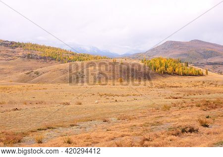 Hilly Steppe In Autumn Colors At The Foot Of A Snow-covered Mountain Range.