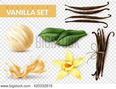 Vanilla Realistic Set With Ice Cream Scoop Shake Splash Flower Dried Beans Leaves Transparent Backgr