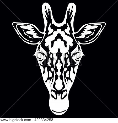 Mascot. Head Of Giraffe. Vector Illustration White Color Front View Of Wild Animal Isolated On Black