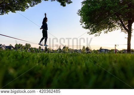 Adventurous White Caucasian Adult Woman Walking On A Slackline Between Trees In A Neighborhood Park.