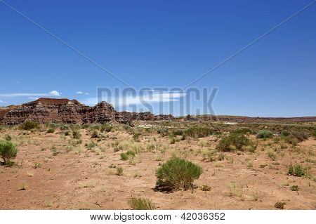 Paisagem do deserto