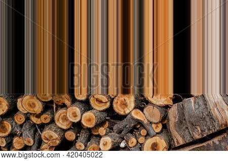 Sawn Timber Yards Folded Against The Wall. Dry Quince Tree Sawn Into Logs For The Furnace In The Sto