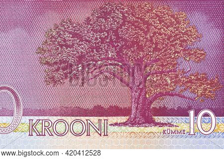 Tamme-lauri Oak Natural Monument In Vorumaa From Estonian Money