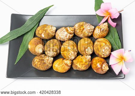 Grill Spotted Babylon (babylonia Areolata) Cooked By Burning In Black Plate On White Background. App