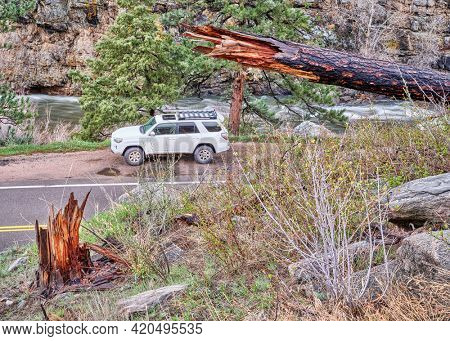 Fort Collins, CO, USA - May 11, 2021: Toyota 4Runner SUV (2016 Trail model) in the Poudre River Canyon in Colorado, springtime scenery with high water flow and a pine tree burned by recent wildfire.