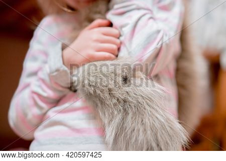 Kid Hand Holds A Piece Of Real Grey Fur Tail. Wool. Animals. Animal. Young. Fashion. Education