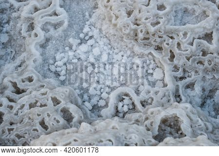 Salt Crystals On The Shore Of The Dead Sea