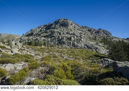 High-mountain Scrublands In Guadarrama Mountains National Park, Province Of Madrid, Spain