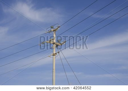 Telephone Pole