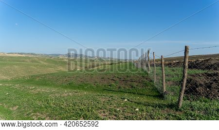 Pastoral Landscape In Green Kahetia Fields