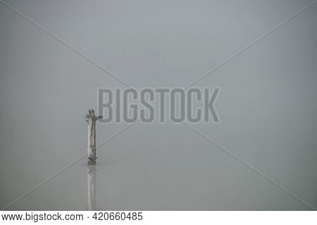 Atmospheric Misty Nature Background With Tree Trunk In Lake Water Surface. One Snag In Gray Water Of