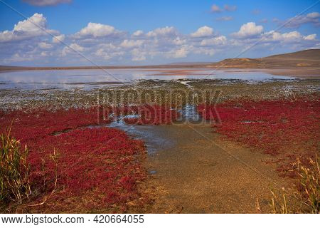 Panorama Of The Koyashskoe Pink Salt Lake In The National Opuk Reserve