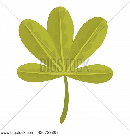 Baobab Leaf Icon. Cartoon Of Baobab Leaf Vector Icon For Web Design Isolated On White Background