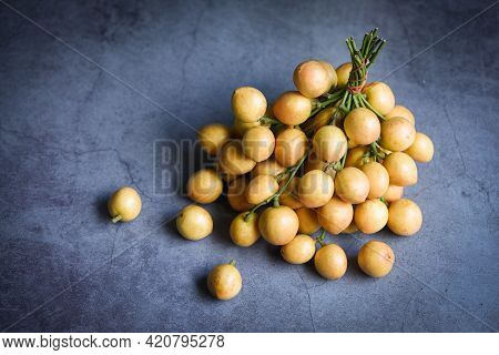 Rambi Harvest From Tree At The Garden Summer Tropical Fruit In Thailand, Ripe Fresh Rambeh Fruit