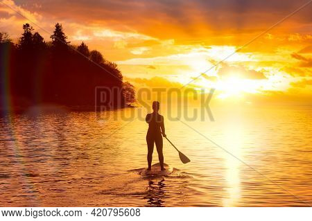 Adventurous Girl On A Paddle Board Is Paddeling In The Pacific West Coast Ocean. Sunset Sky Art Rend